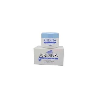 Andina crema decolorante 30 ml