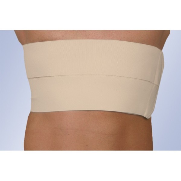 FAJA 2 BANDAS COSTAL CABALLERO BE-165 ORLIMAN T/1