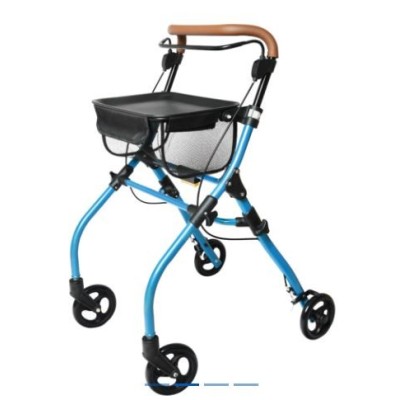 ANDADOR INTERIOR NEO DANDY AZUL 826294 EMO
